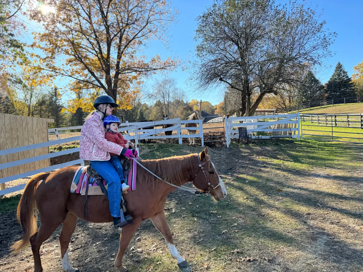 An adult rider and horse in an autumn paddock lined with white fences