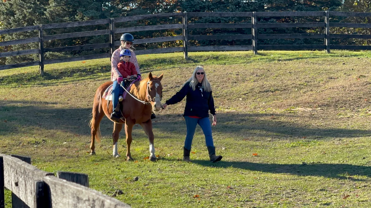 Horse and rider in autumn paddock with fall colors