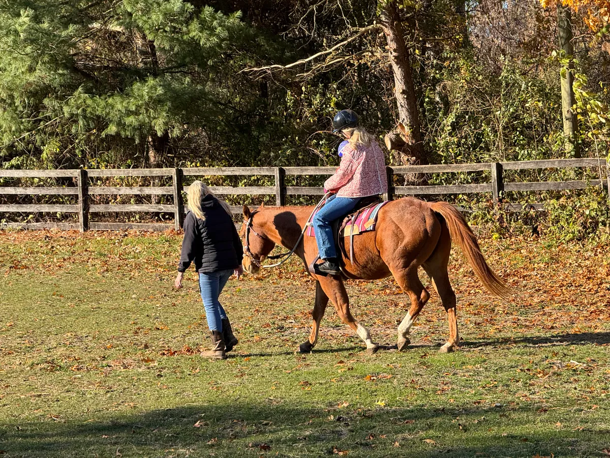 Leading a horse through autumn leaves with rider aboard