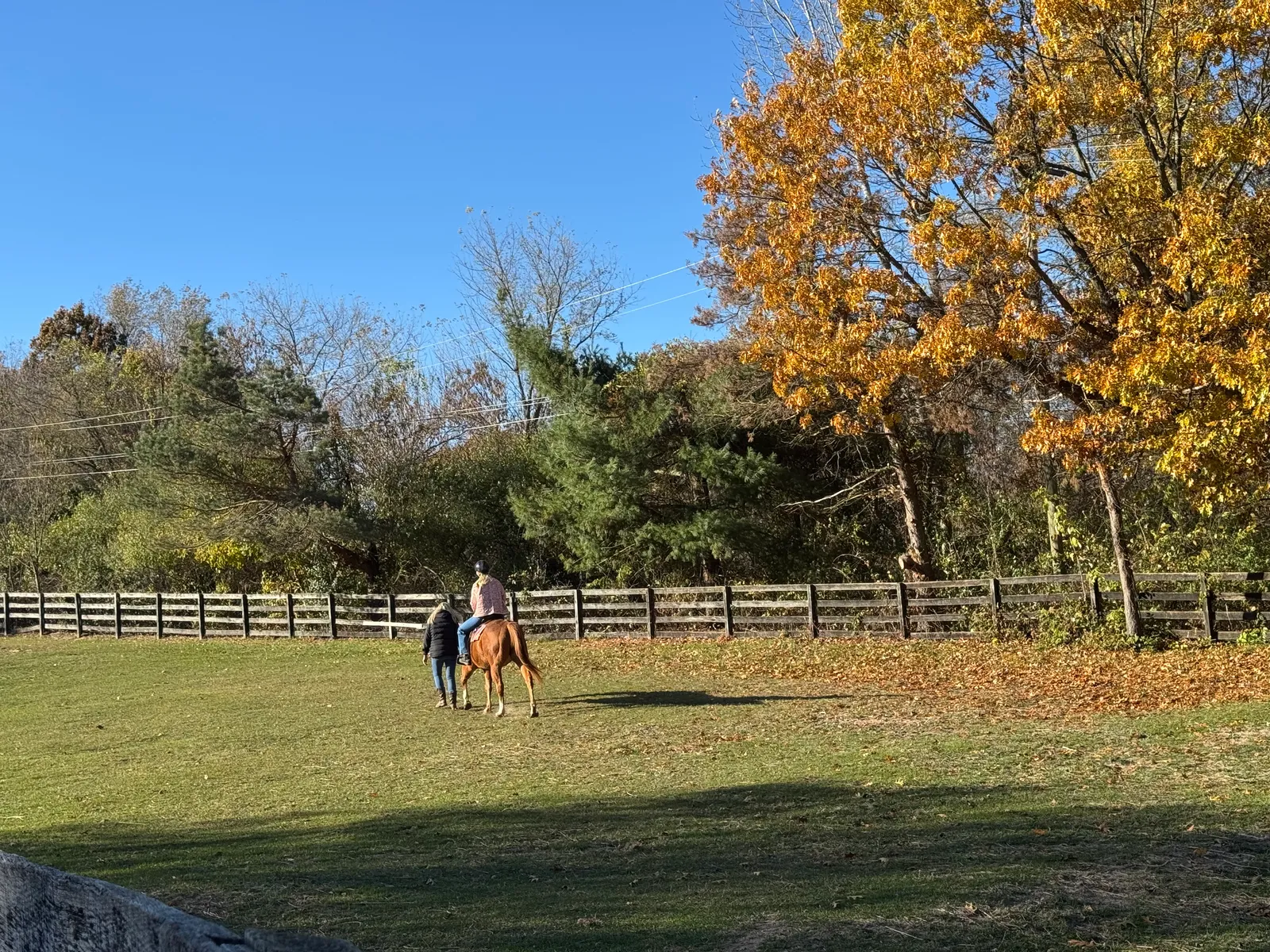 Rider on horseback in autumn pasture with golden trees and rolling countryside