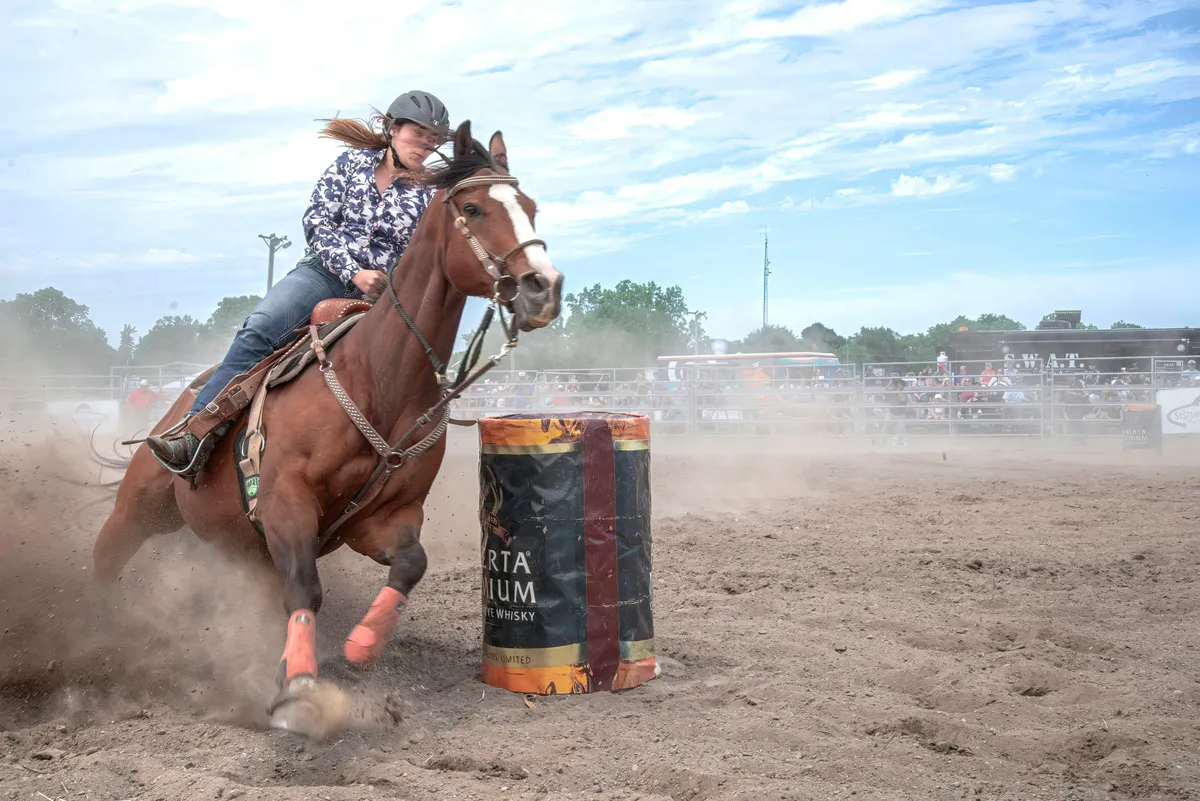 Barrel racing horse in tight turn with dust flying