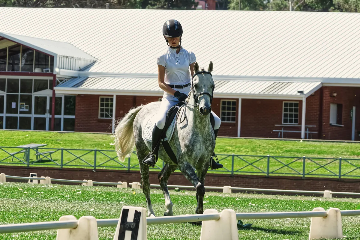 Gray dressage horse working in arena with dressage letters visible